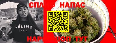 ПСИЛОЦИБИНОВЫЕ ГРИБЫ Шахты