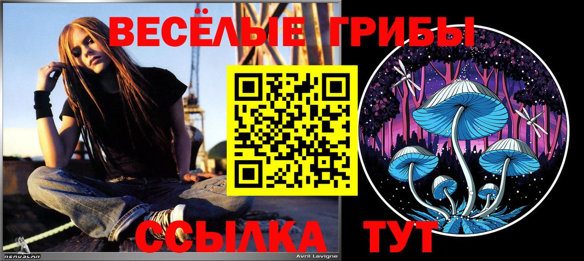 хочу наркоту  Псилоцибиновые грибы Psilocybe  Галлюциногенные грибы мицелий  Вход с VPN  Красноярск 